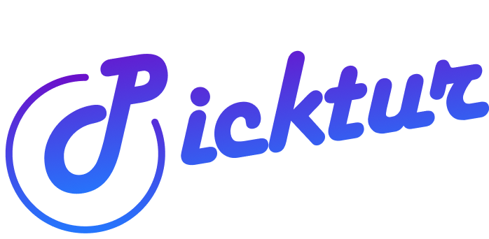 PickTur Moldova logo